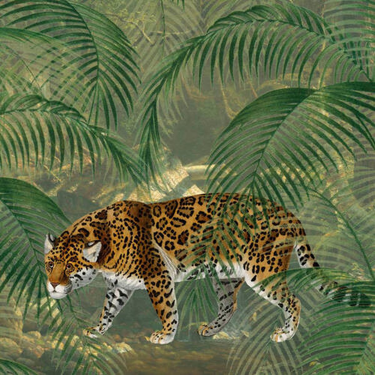 Fototapete Leopard - Multicolor, Basics, Papier/Kunststoff (200/280cm)