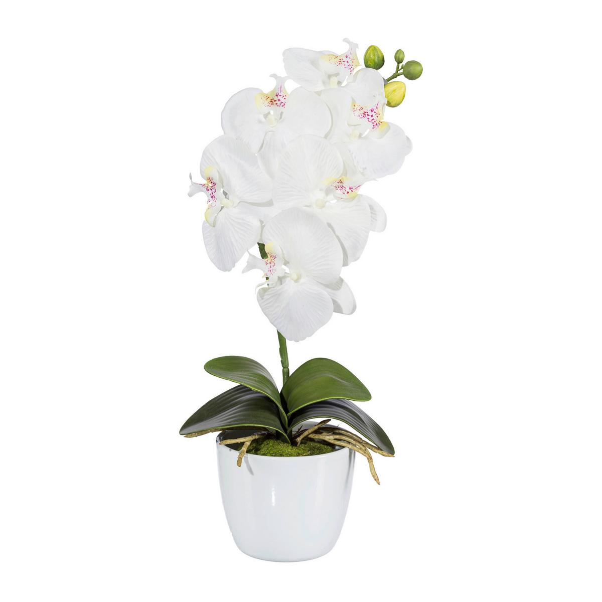 Kunstpflanze Orchidee Bunt H: 40 Cm Im Topf, Sofie - Lila/Weiß, KONVENTIONELL, Keramik/Kunststoff (40cm)