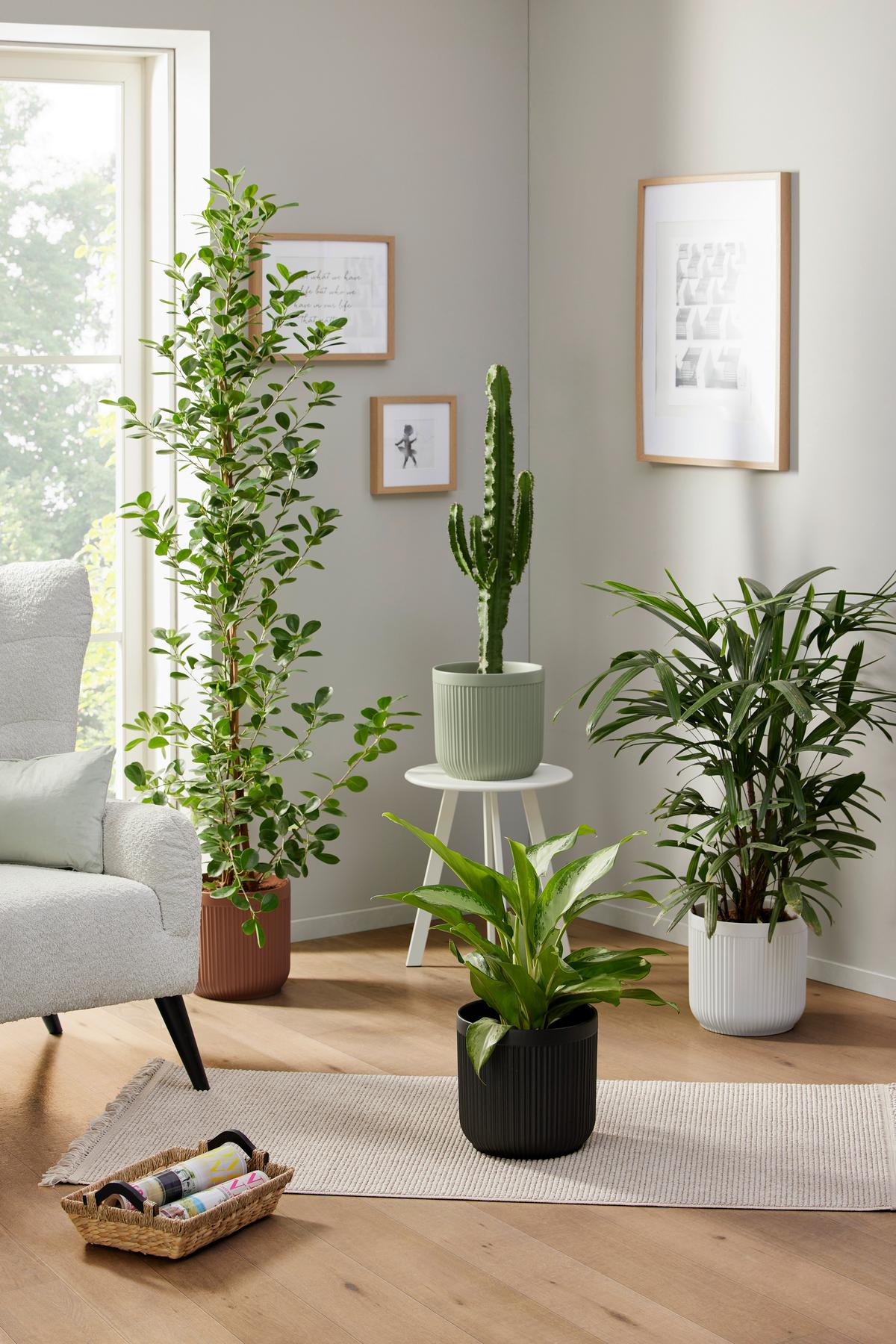 Blumentopf Maite - Smaragdgrün/Schlammfarben, KONVENTIONELL, Keramik (26,5/26cm) - Luca Bessoni