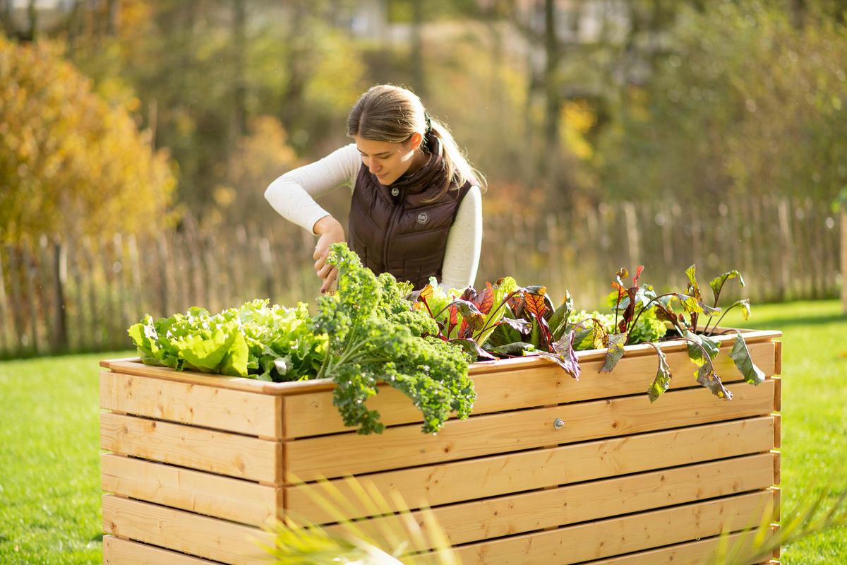 Hochbeet Holz Hochbeet Fichte XL - Fichtefarben, Basics, Holz (70/90/170cm)