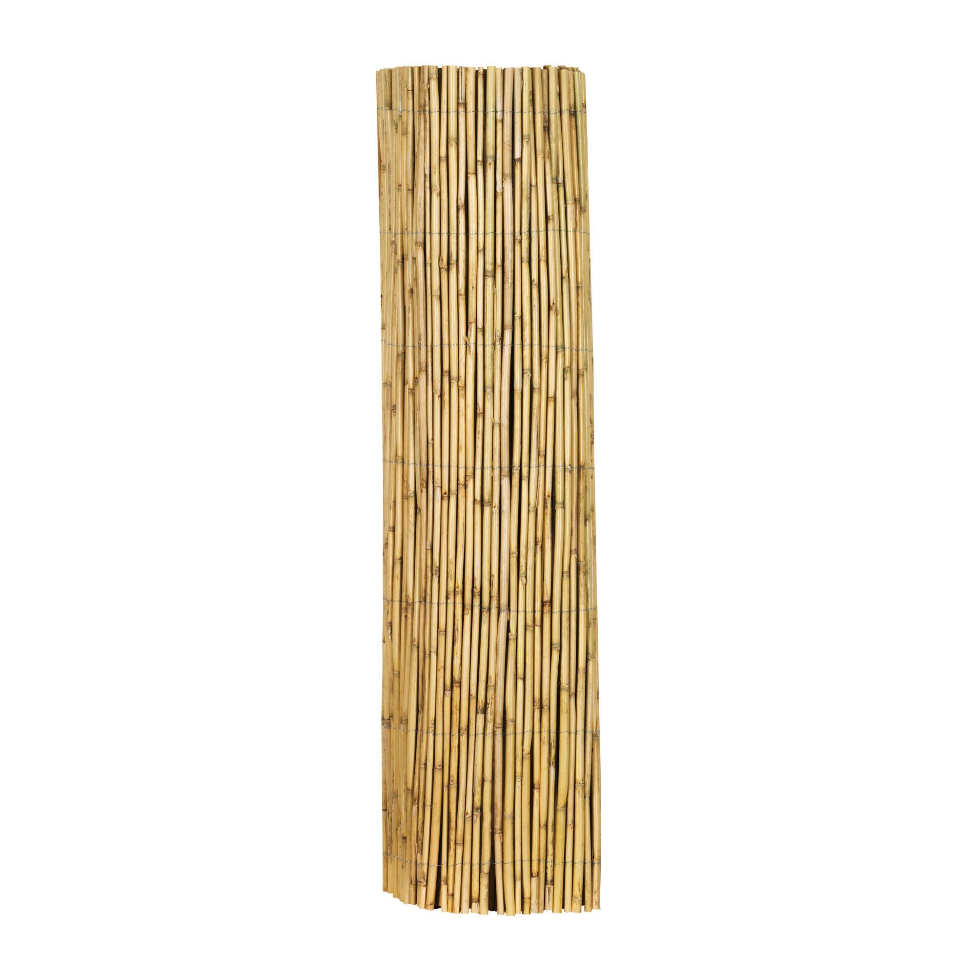 Sichtschutz Taipei Bambus - Naturfarben, Basics, Naturmaterialien (300/90cm)