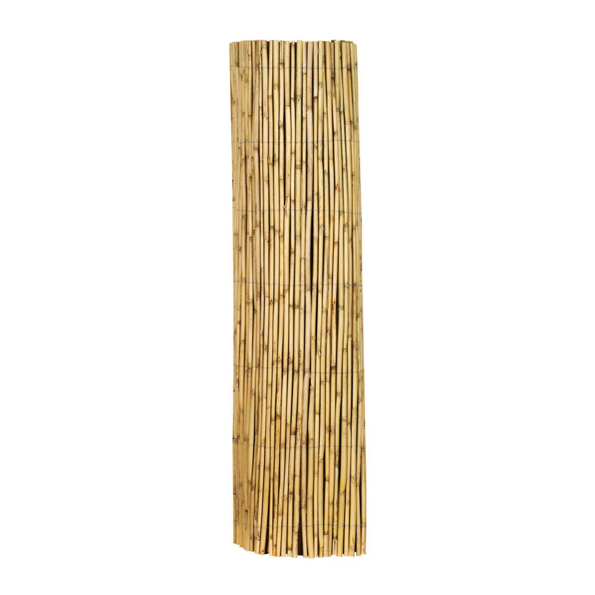 Sichtschutz Taipei Bambus - Naturfarben, Basics, Naturmaterialien (300/100cm)