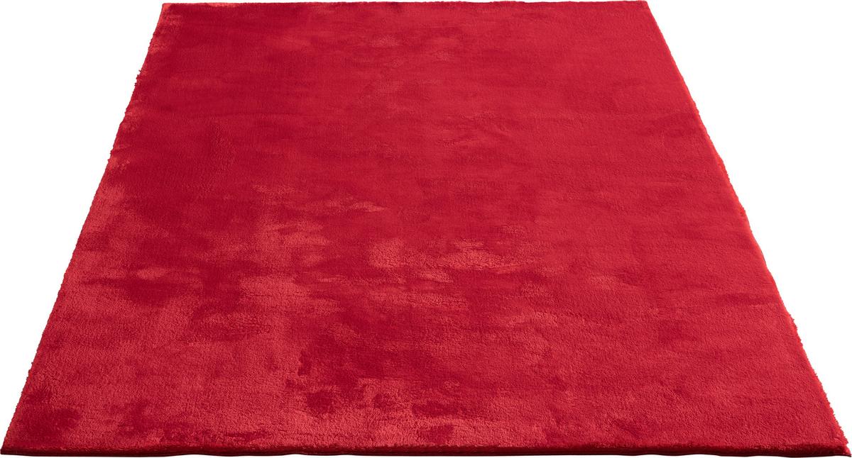 Fellteppich Loft - Rot, KONVENTIONELL, Textil (240/340cm)