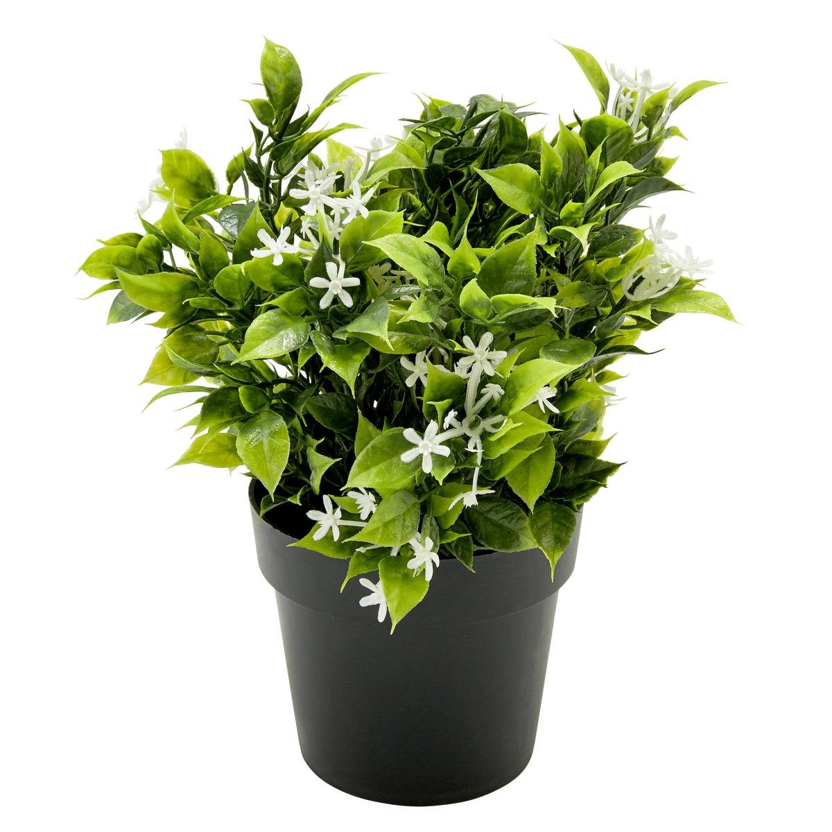 Kunstpflanze Weiß/Grün H: 23 cm Im Topf, Cassandra - Schwarz/Weiß, Basics, Kunststoff (15/23cm) - Luca Bessoni