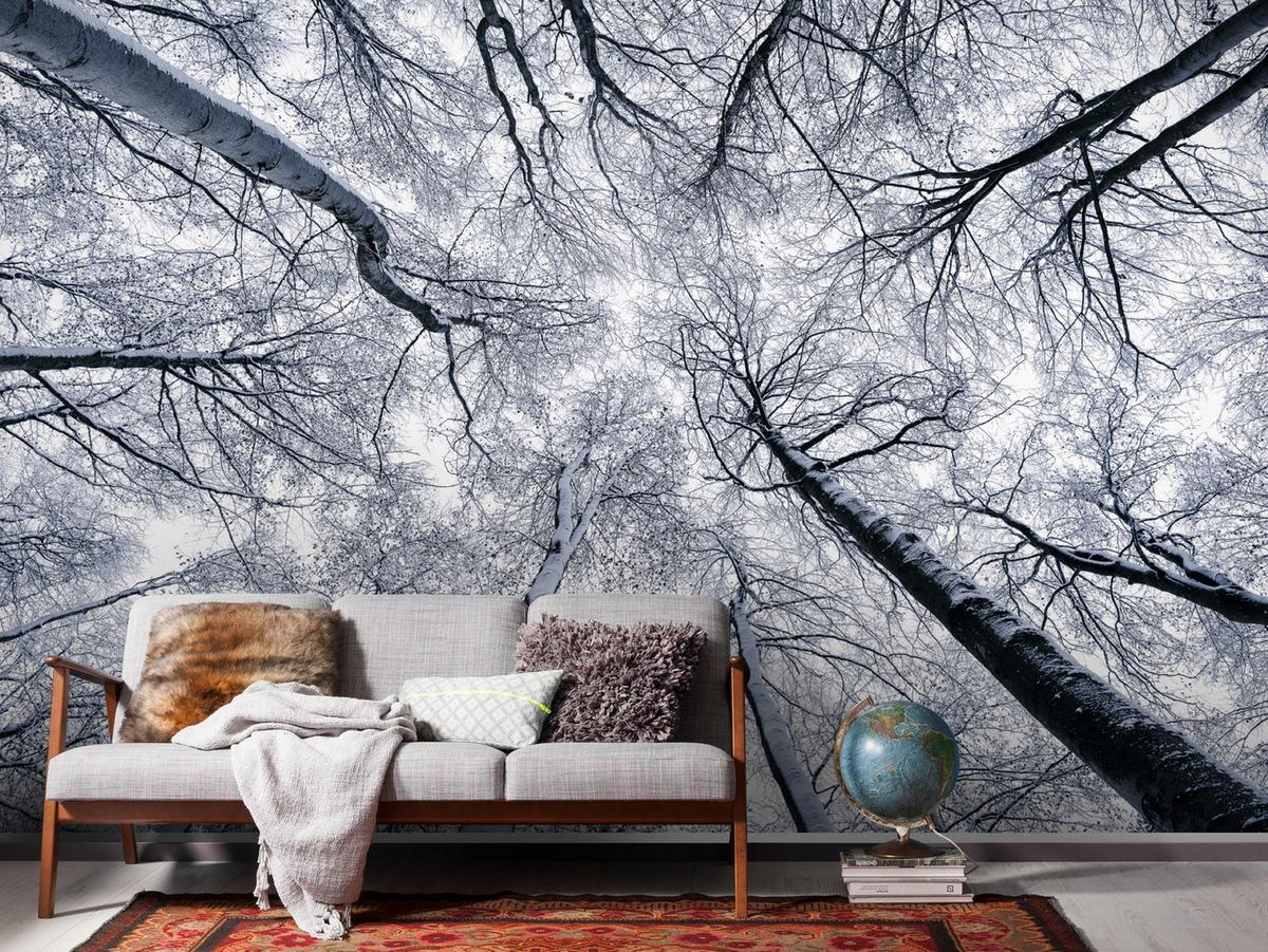 Vliestapete Sh081-Vd4 Up - Natur (400/250cm)