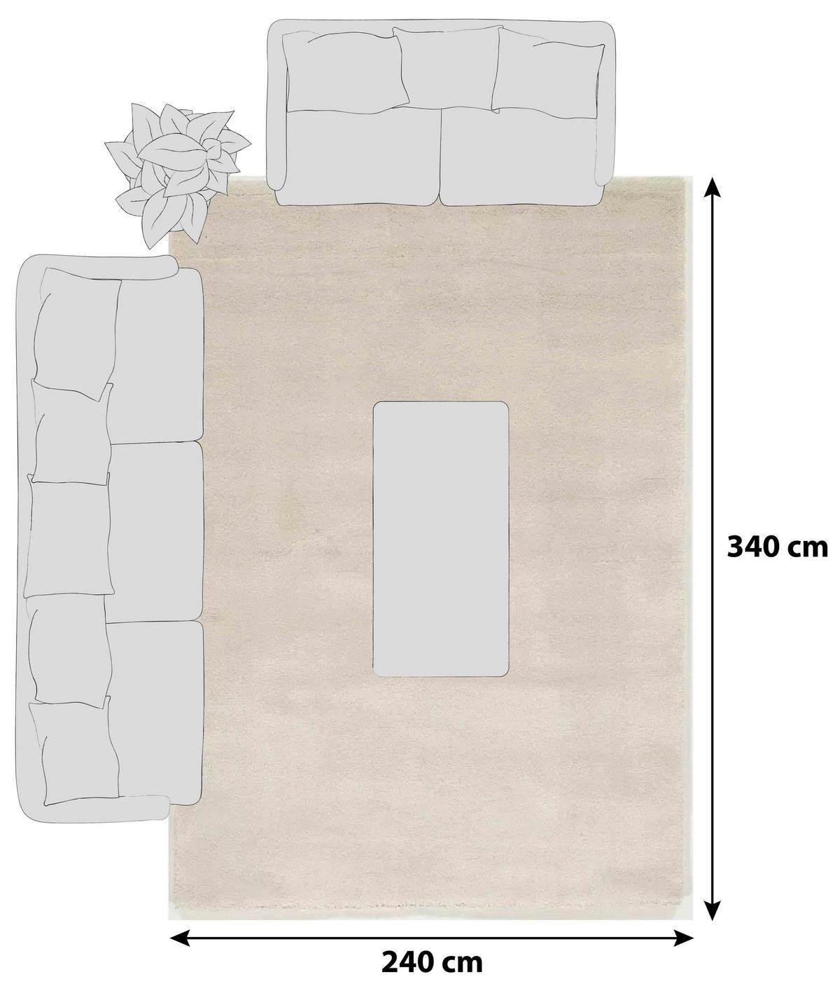 Hochflor Teppich Creme Bellevue 240x340 Cm - Creme, Basics, Textil (240/340cm) - Novel
