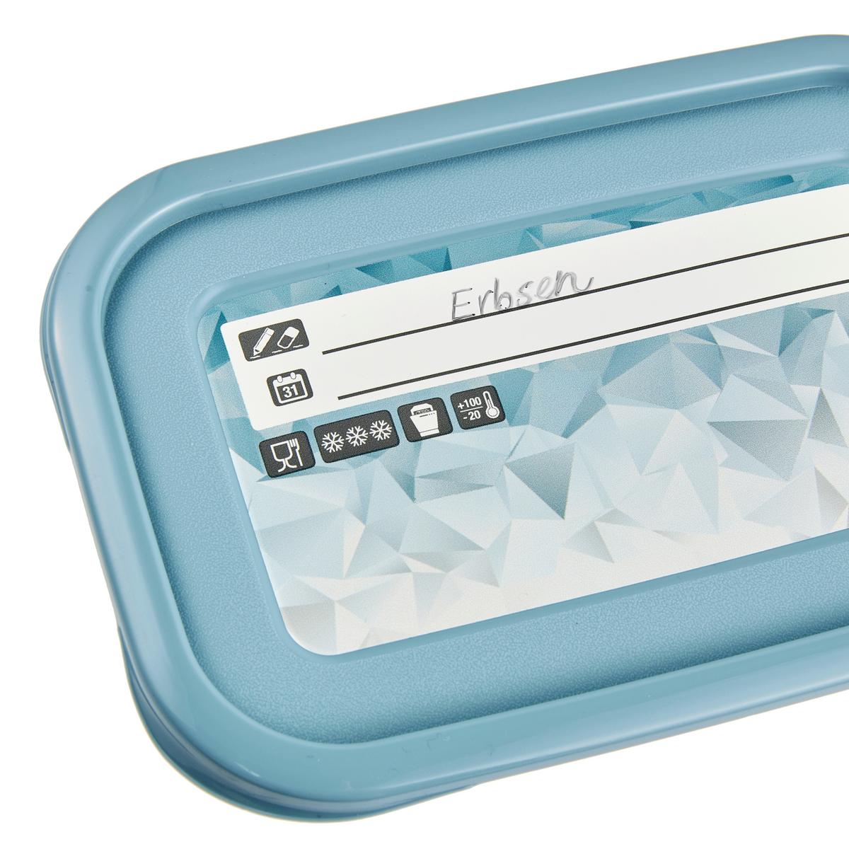 Gefrierdose 5er-Set Mia ca. 0,5 L - Blau/Weiß, KONVENTIONELL, Kunststoff (15,5/10,5/6cm)