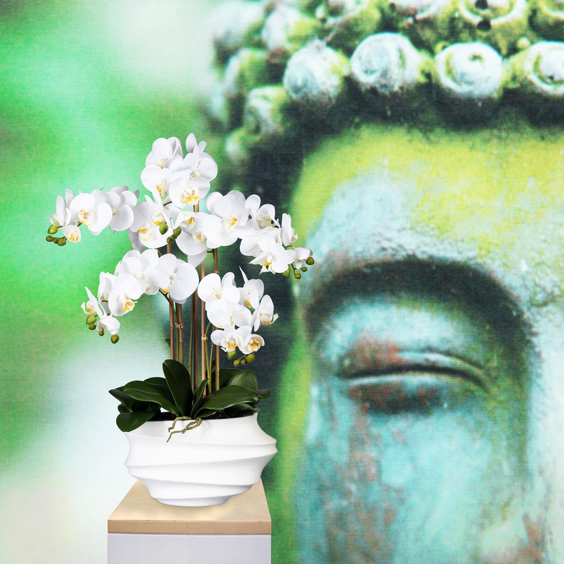 Orchidee mit weißer Blütenpracht