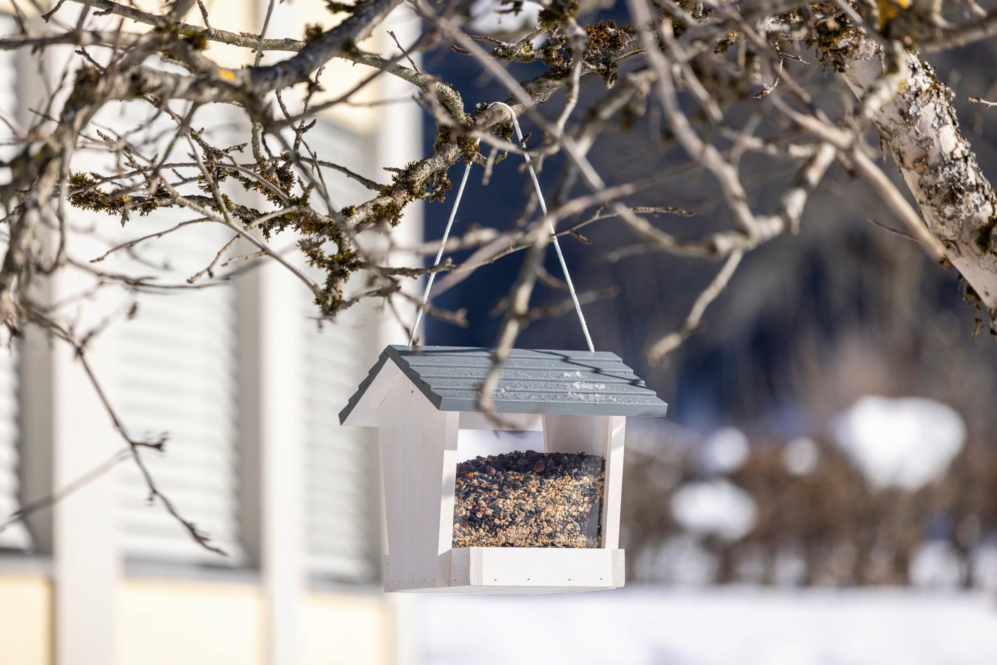 Vogelfutterhaus Karwendel Kiefer - Weiß, Basics, Holz (26,5/26/26,5cm) - Windhager