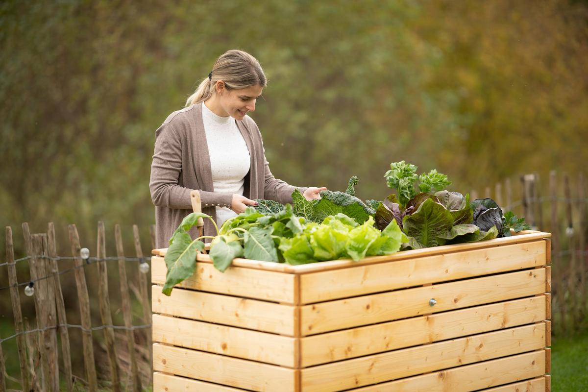 Hochbeet Echtholz Fichte 70x90x130 Cm  Fichtefarben - Fichtefarben, Basics, Holz (70/90/130cm)