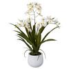 Kunstpflanze Orchideen Weiß, Topf: Weiß, H: 50 cm - Weiß/Grün, Design, Keramik/Kunststoff (50cm) - P & B