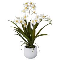 Kunstpflanze Orchideen Weiß, Topf: Weiß, H: 50 cm - Weiß/Grün, Design, Keramik/Kunststoff (50cm) - P & B