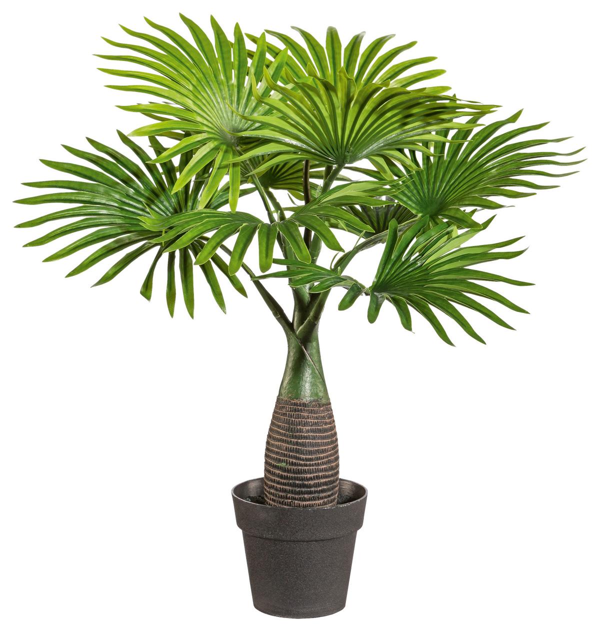 Kunstpflanze Palmen Grün, 45 cm - Schwarz/Braun, Design, Kunststoff (45cm) - P & B