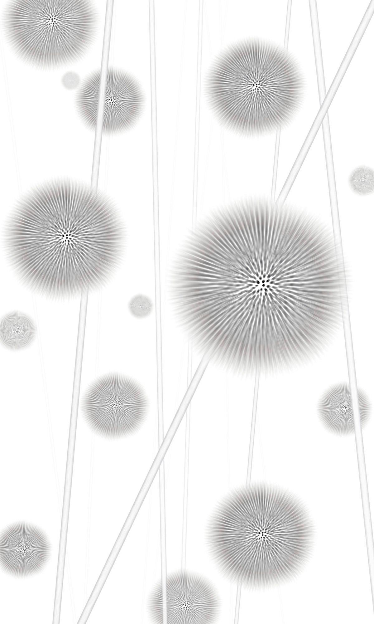 Vliestapete Allium - Weiß/Grau, Basics (150/250cm) - Komar