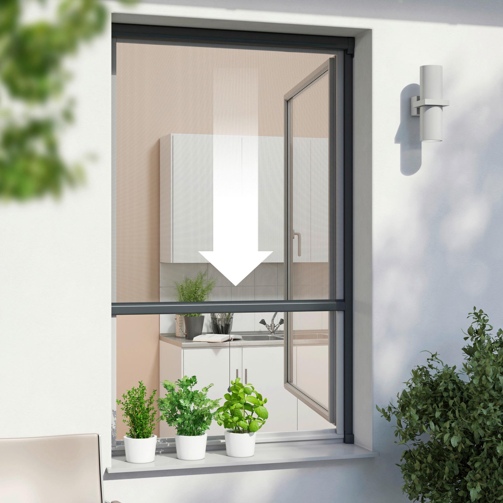 Insektenschutzrollo IS PLUS