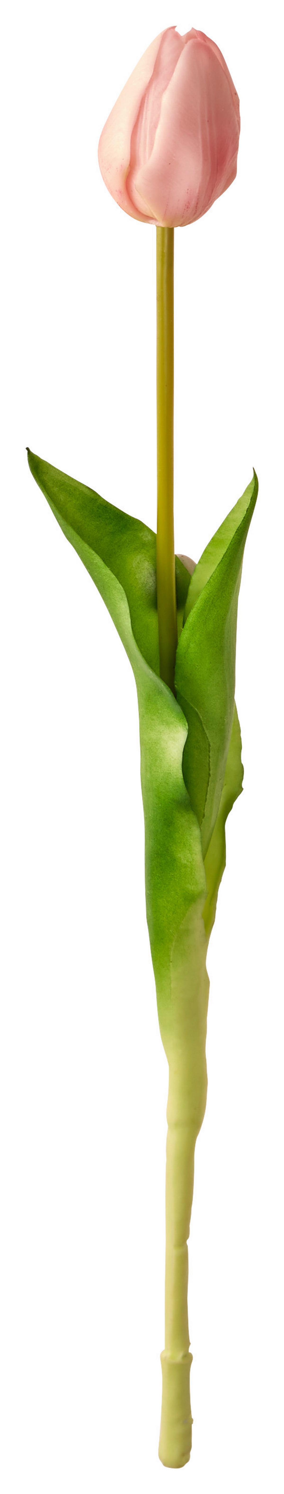 Tulipán Rózsaszín - rózsaszín/zöld, Basics, műanyag (44cm)