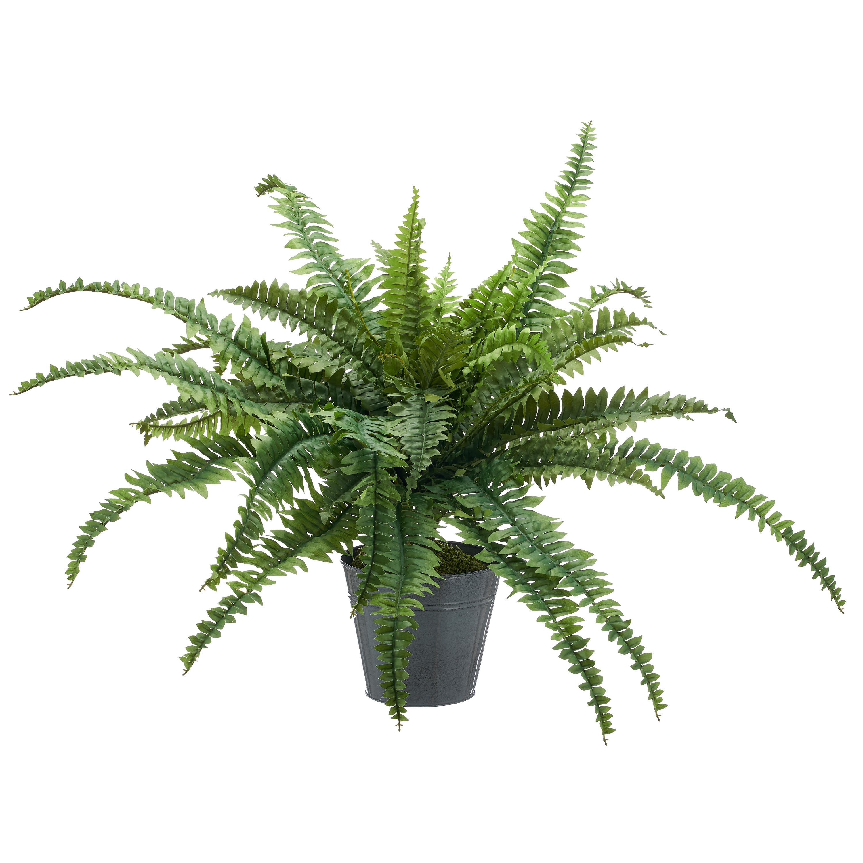 Kunstpflanze Bostonfarn Kunststoff, Grün, D: 100 cm - Zinkfarben/Grün, Basics, Kunststoff/Metall (100cm) - P & B