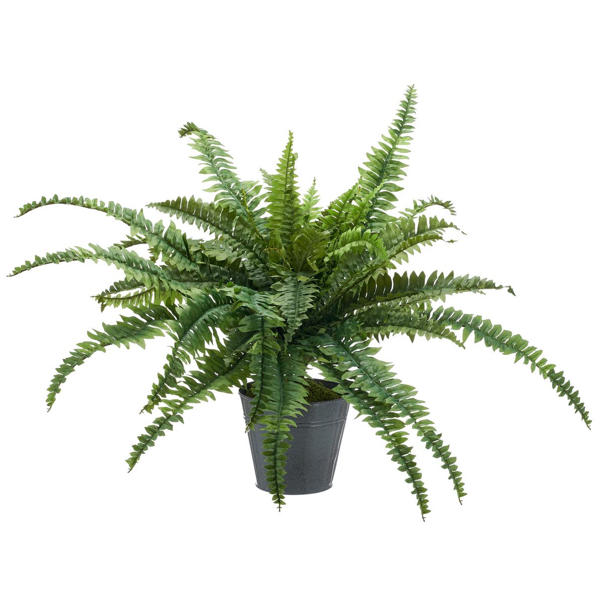 Kunstpflanze Bostonfarn Kunststoff, Grün, D: 100 cm - Zinkfarben/Grün, Basics, Kunststoff/Metall (100cm) - P & B