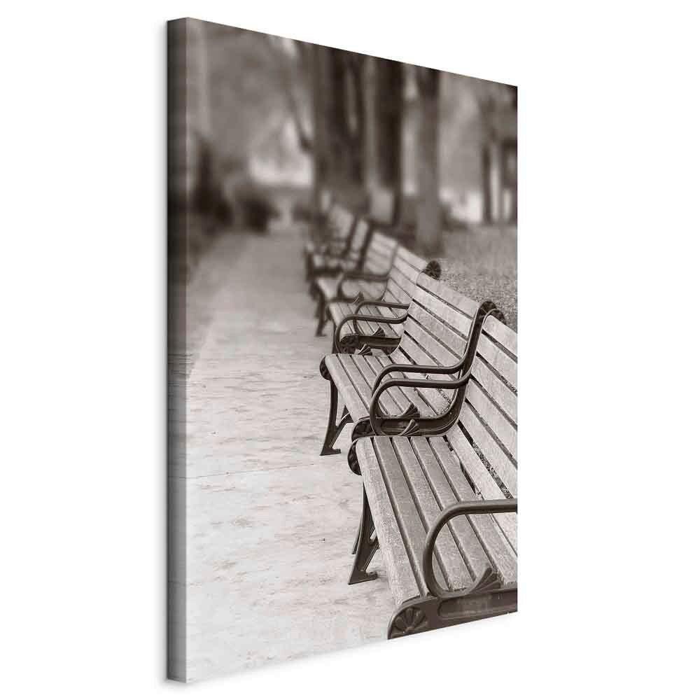 Leinwandbild Park Grau B: 40 cm - Grau, Basics, Holzwerkstoff/Textil (40/60/1.2cm) - artgeist
