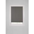 Tageslichtrollo Helene Halbtransparent 75x150 cm - Grau, MODERN, Textil (75/150cm) - Luca Bessoni
