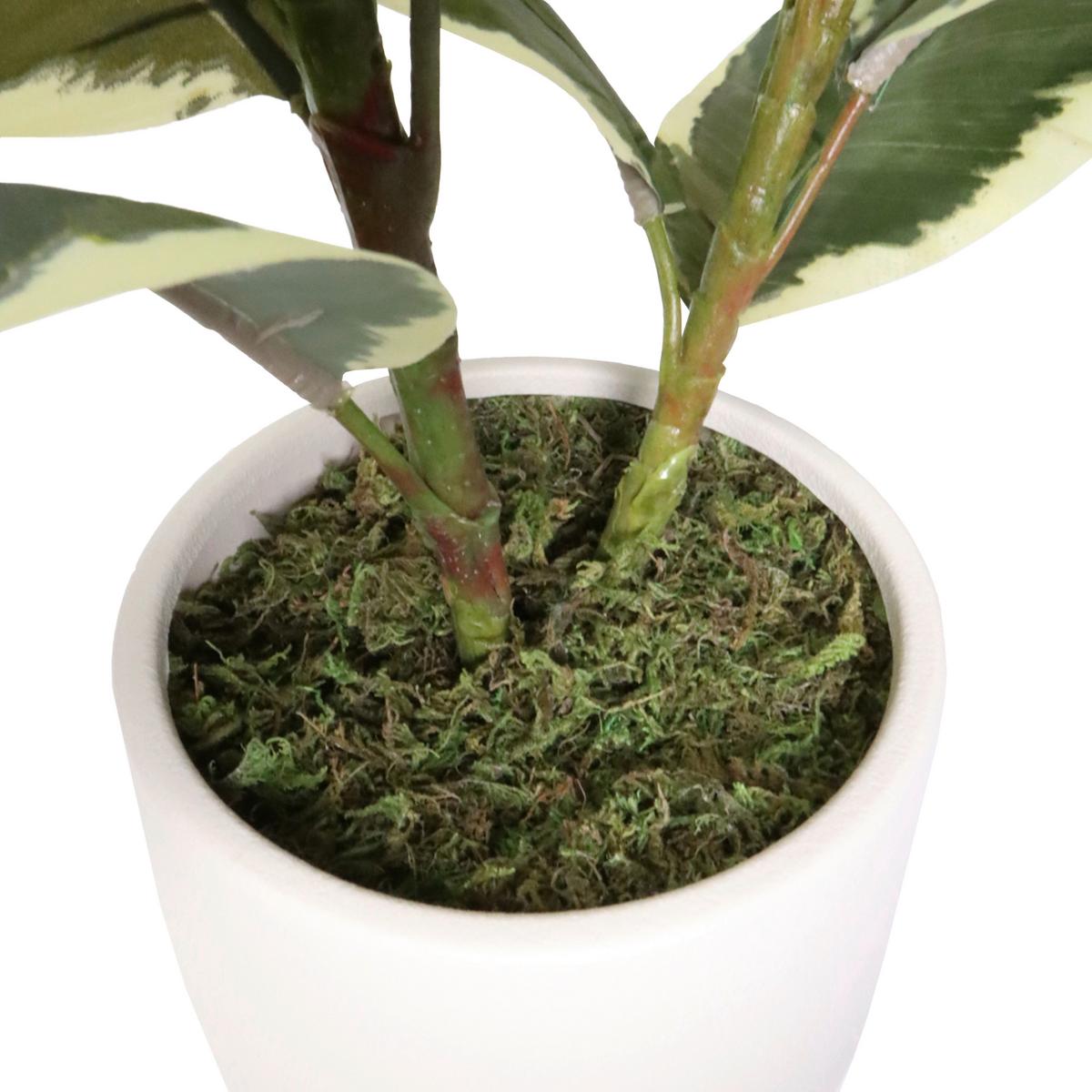 Kunstpflanze Ficus Dunkelgrün/Grasgrün B: 60cm - Dunkelgrün/Creme, MODERN, Kunststoff/Metall (60/85/55cm) - MID.YOU