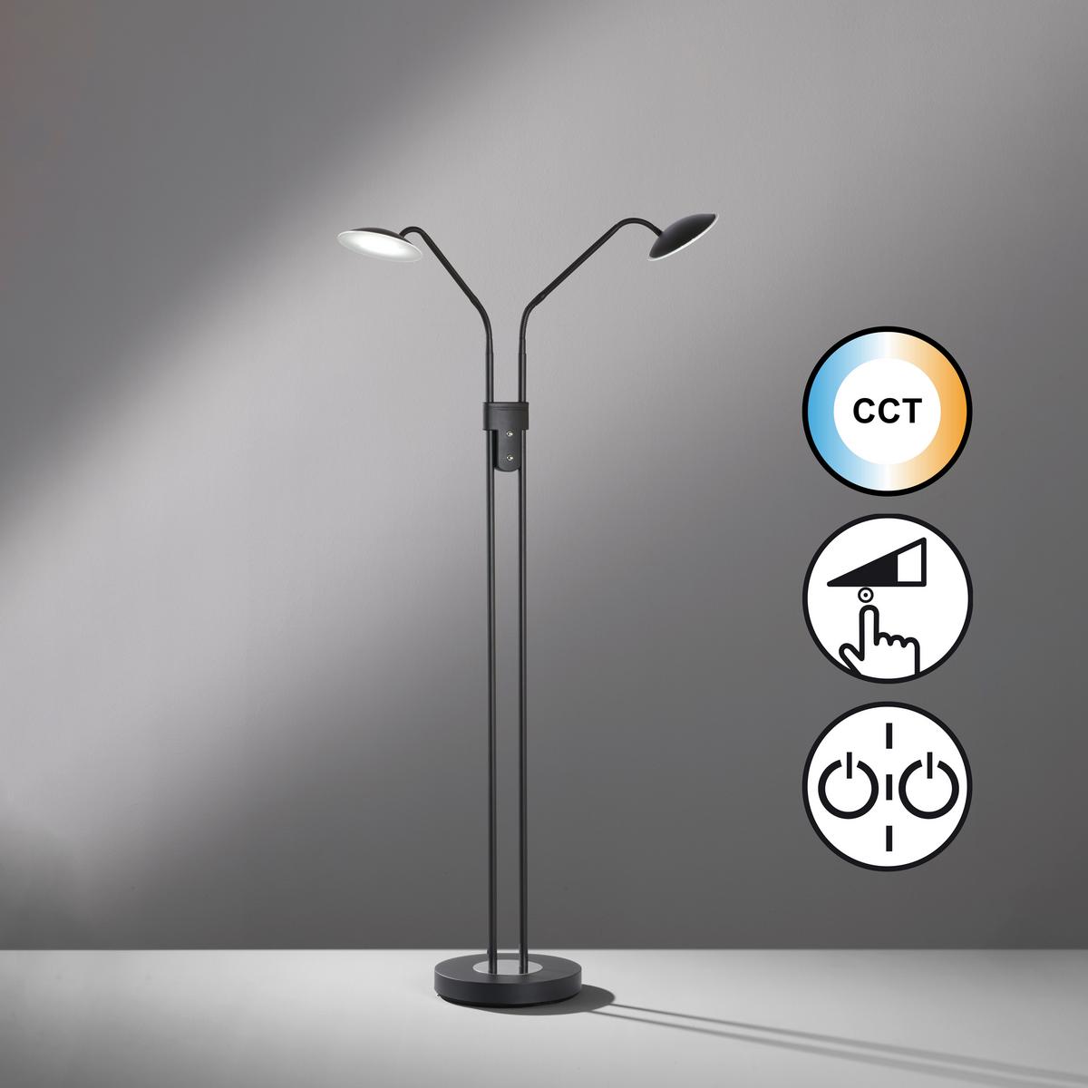 LED-Stehleuchte 40487 Tallri - Schwarz, KONVENTIONELL, Metall (135cm) - Fischer & Honsel