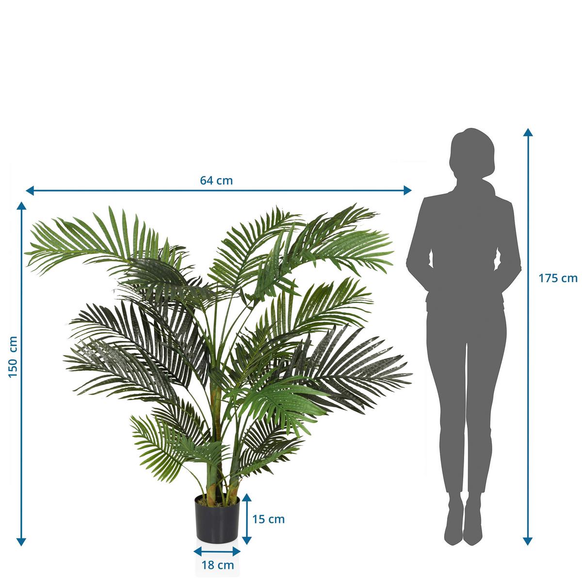 Kunstpflanze Grün/Schwarz B: 64 cm - Schwarz/Grün, MODERN, Kunststoff (64/150/60cm) - MID.YOU