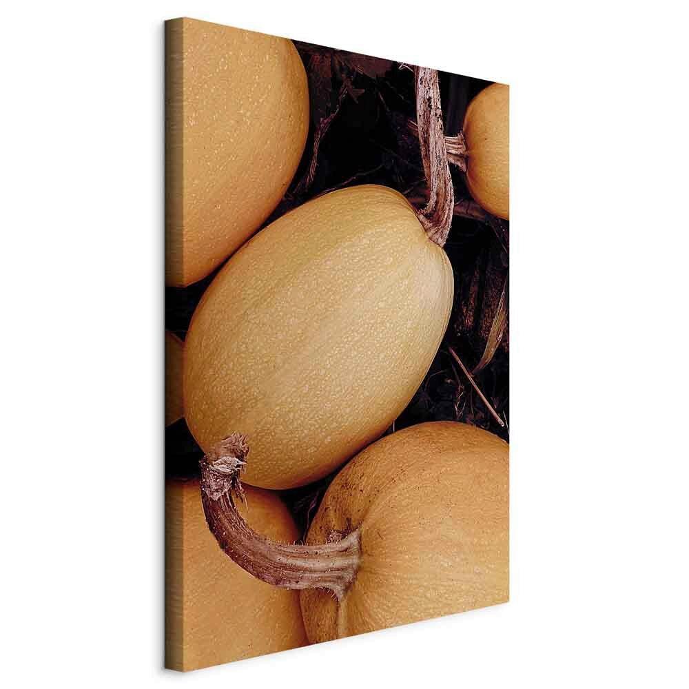 Leinwandbild Orange Dunkelbraun B: 40 Cm - Dunkelbraun/Orange, Basics, Holzwerkstoff/Textil (40/60/1,2cm) - artgeist