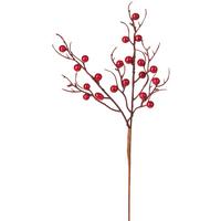 Dekor Gally Beeren -Paz- - barna/piros, Modern, műanyag (47cm)