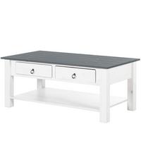Couchtisch Ines mit Ablagefach Grau/Weiß - Weiß/Grau, Design, Holz (110/45/60cm) - MID.YOU