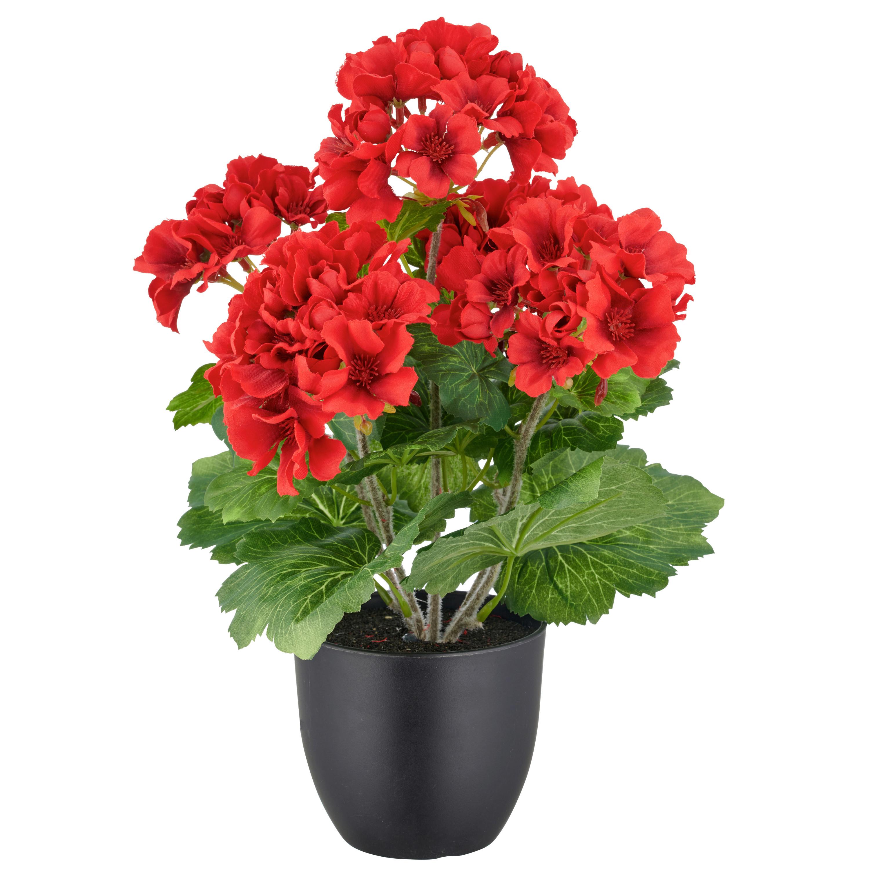 Kunstpflanze Rot Grün Schwarz B: 20 cm - Rot/Schwarz, Basics, Kunststoff (20/40/20cm) - P & B