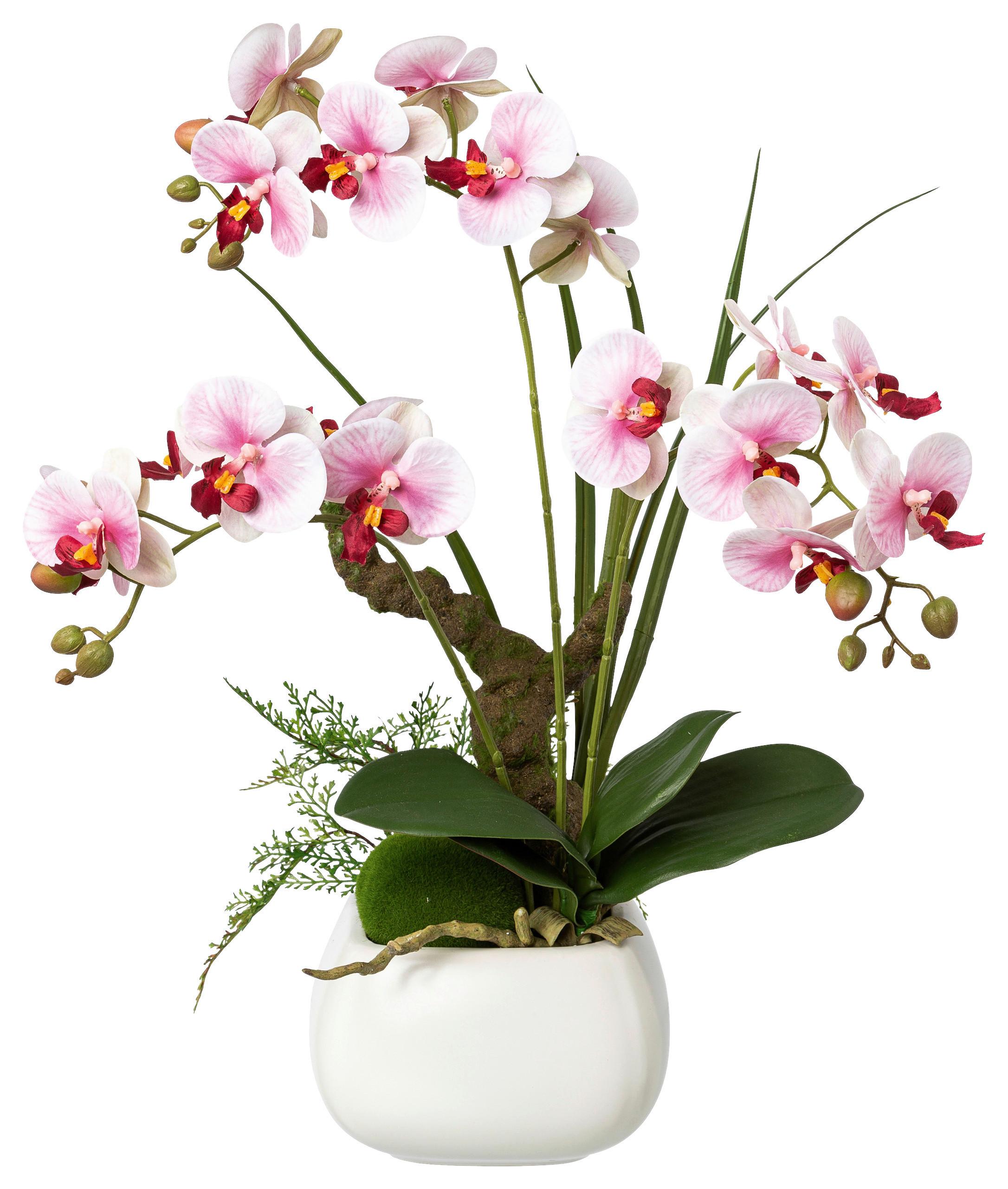 Kunstpflanze Orchideen Rosa, Topf: Weiß, H: 46 cm - Rosa/Weiß, Design, Keramik/Kunststoff (46cm) - P & B