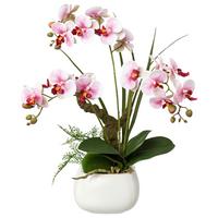 Kunstpflanze Orchideen Rosa, Topf: Weiß, H: 46 cm - Rosa/Weiß, Design, Keramik/Kunststoff (46cm) - P & B