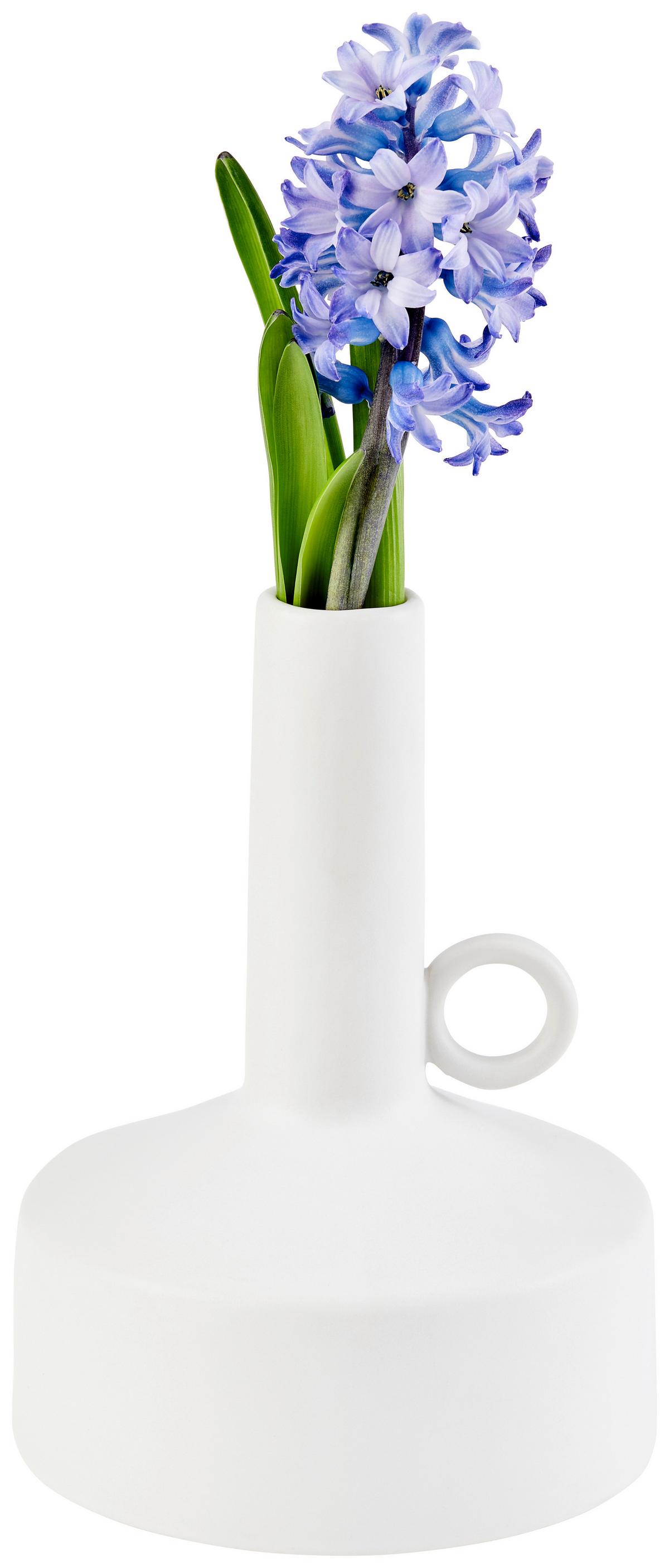 Vase Eliott Bauchig Keramik Weiß H: 19,2 cm - Weiß, Basics, Keramik (14/19,2cm) - Luca Bessoni