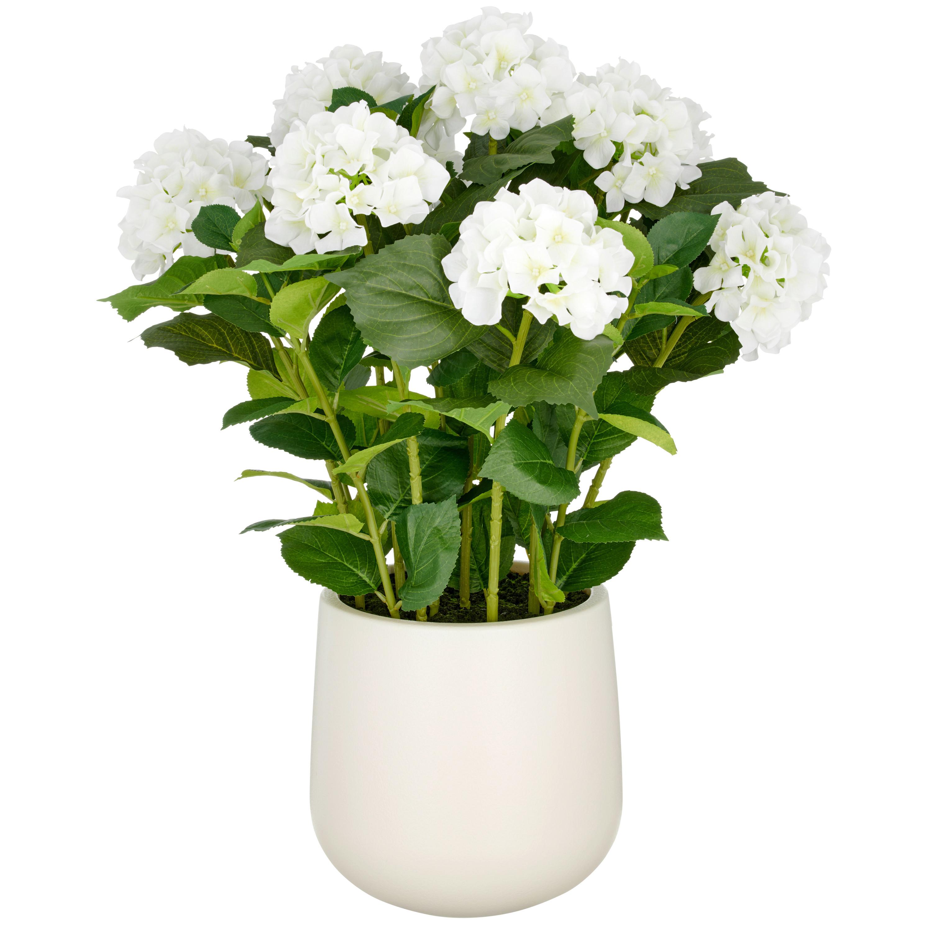 Kunstpflanze Weiß Grün B: 25 cm - Creme/Weiß, Basics, Kunststoff (25/75/25cm)