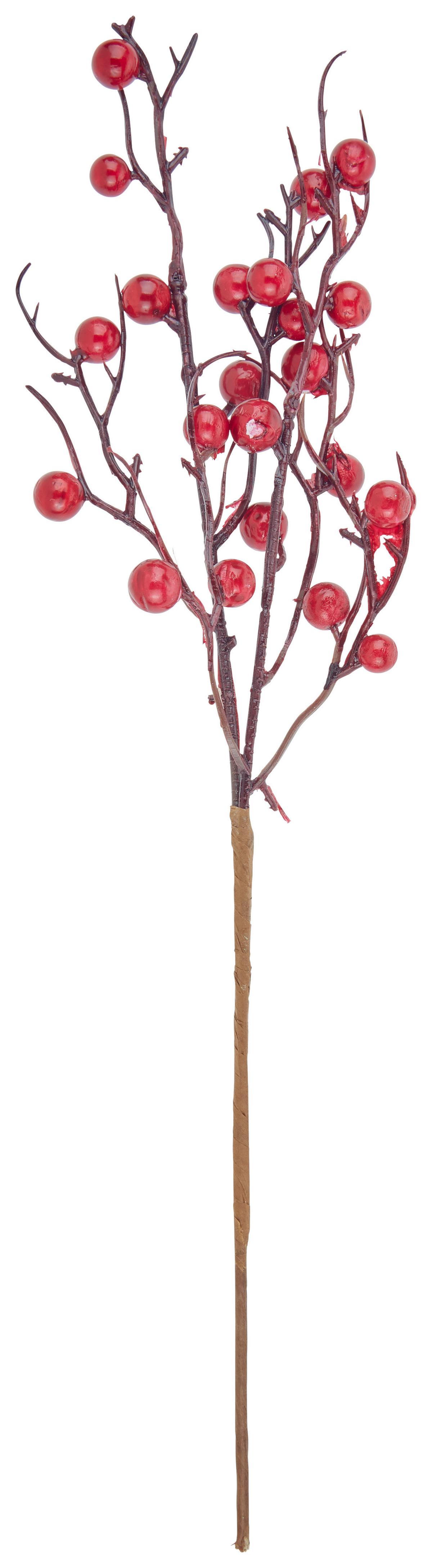 Dekor Gally Beeren -Paz- - barna/piros, Modern, műanyag (47cm)