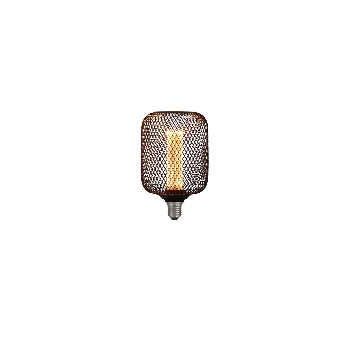 LED-Leuchtmittel Wire Mesh 16002bk - Klar/Schwarz, Basics, Glas/Metall (10/16.5cm)