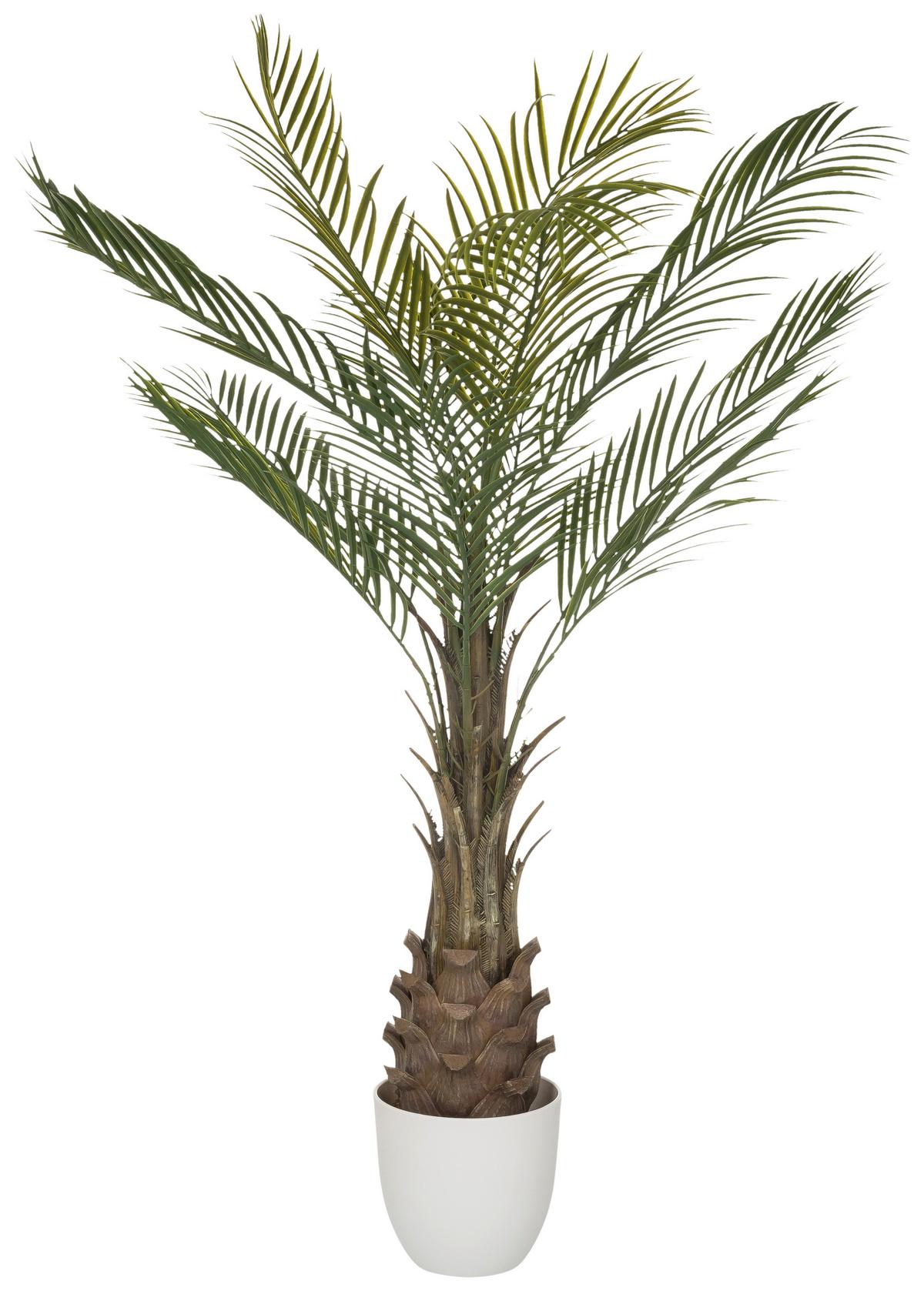 Kunstpflanze Dracaena Braun/weiß/grün B: 70 Cm - Weiß/Braun, MODERN, Kunststoff (70/120/70cm) - MID.YOU