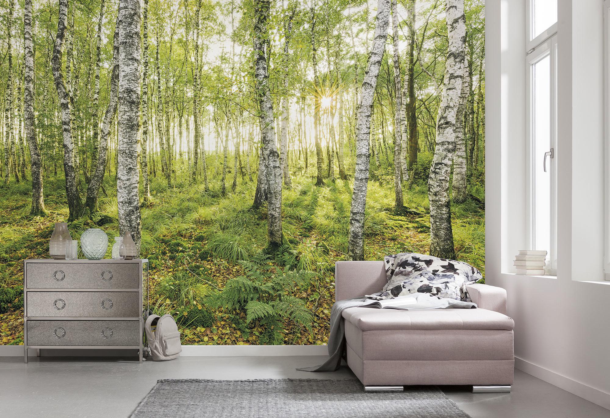 Vliestapete Sh043-Vd4 Birch Trees - Natur (400/250cm)