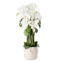 Orchidee Renate - Weiß/Grün, KONVENTIONELL, Kunststoff/Textil (23/120cm) - Luca Bessoni