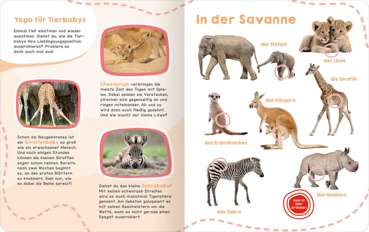 SOUNDBUCH GERÄUSCHE TIERBABYS - Multicolor, Basics, Papier (27,7/22,/1,3cm)