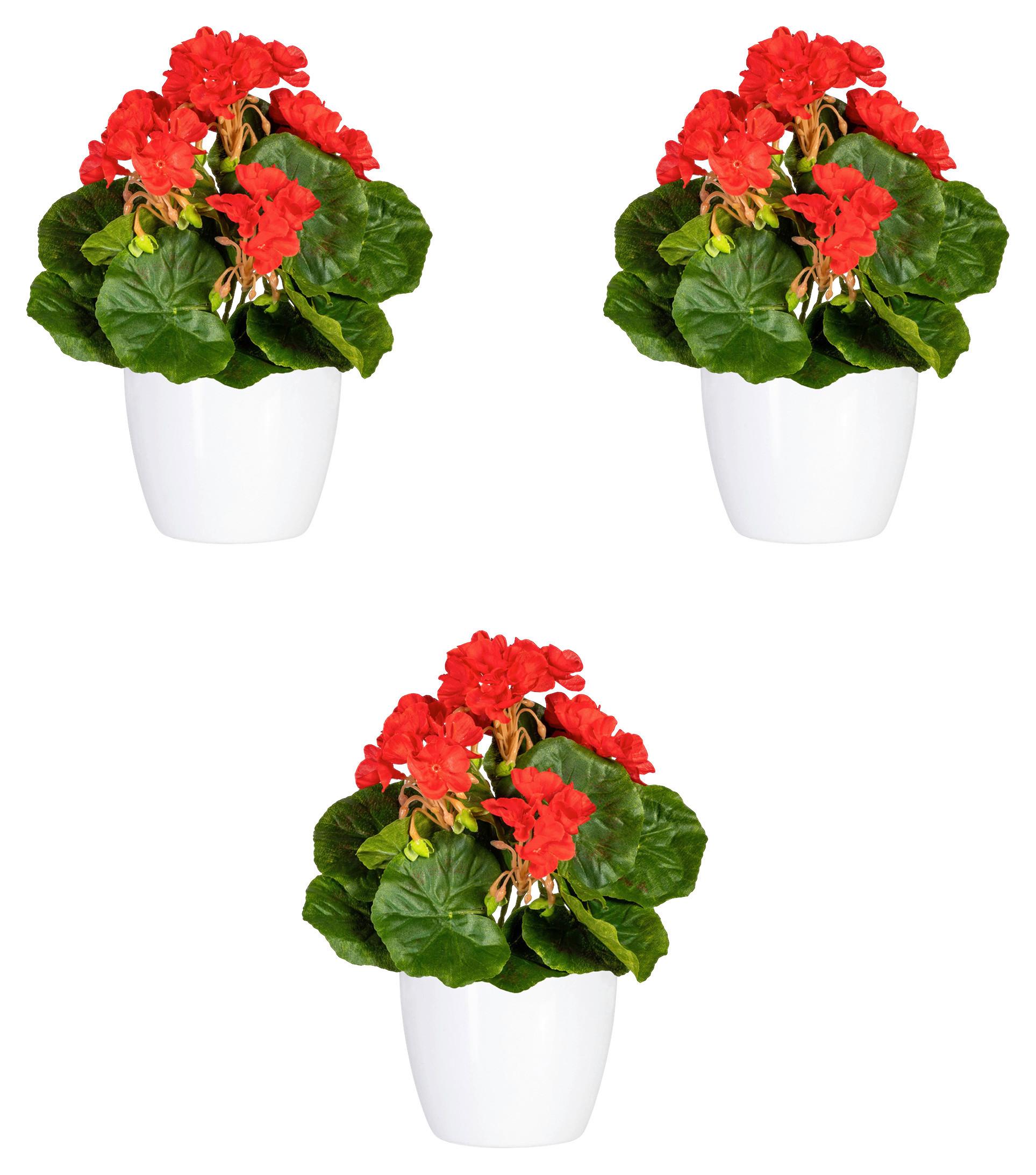 Kunstpflanze Blühpflanzen Rot/Grün/Weiß, 24 cm - Rot/Weiß, Design, Keramik/Kunststoff (24cm)
