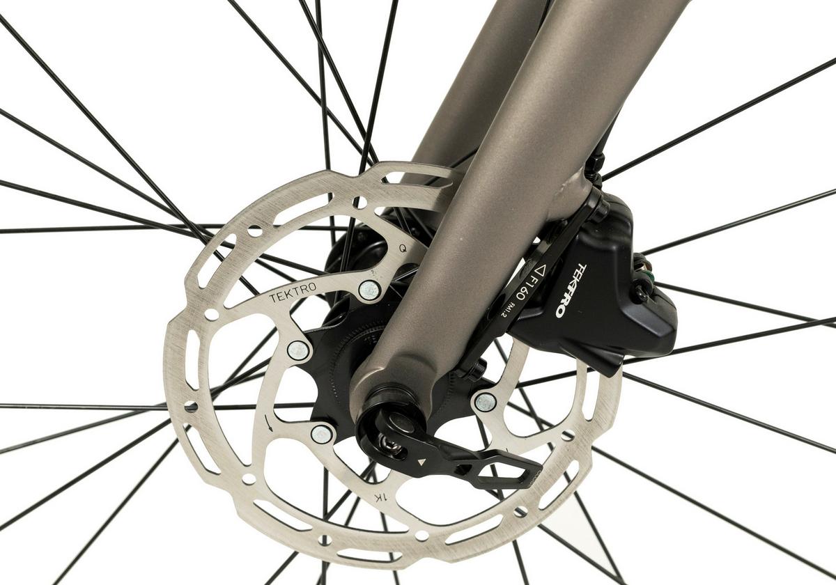 Elektrofahrrad Totem Urban Platin - Hellgrau, Basics, Metall (180/70/100cm)