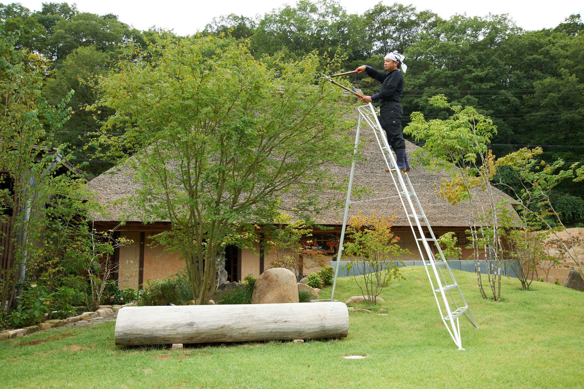 Niwaki Gartenleiter