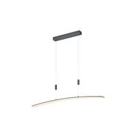 LED-Hängeleuchte 20446/1-39 - Anthrazit, Design, Kunststoff/Metall (100/6cm) - Hell