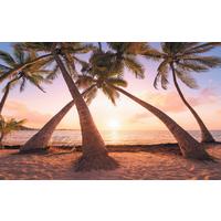 Vliestapete Sh074-Vd4 Reaching The Sun - Natur (400/250cm)