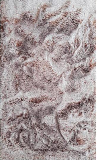 Fellteppich Angela Hellbraun 120x160 cm Polyester - Hellbraun/Braun, Basics, Textil (120/160cm) - Luca Bessoni