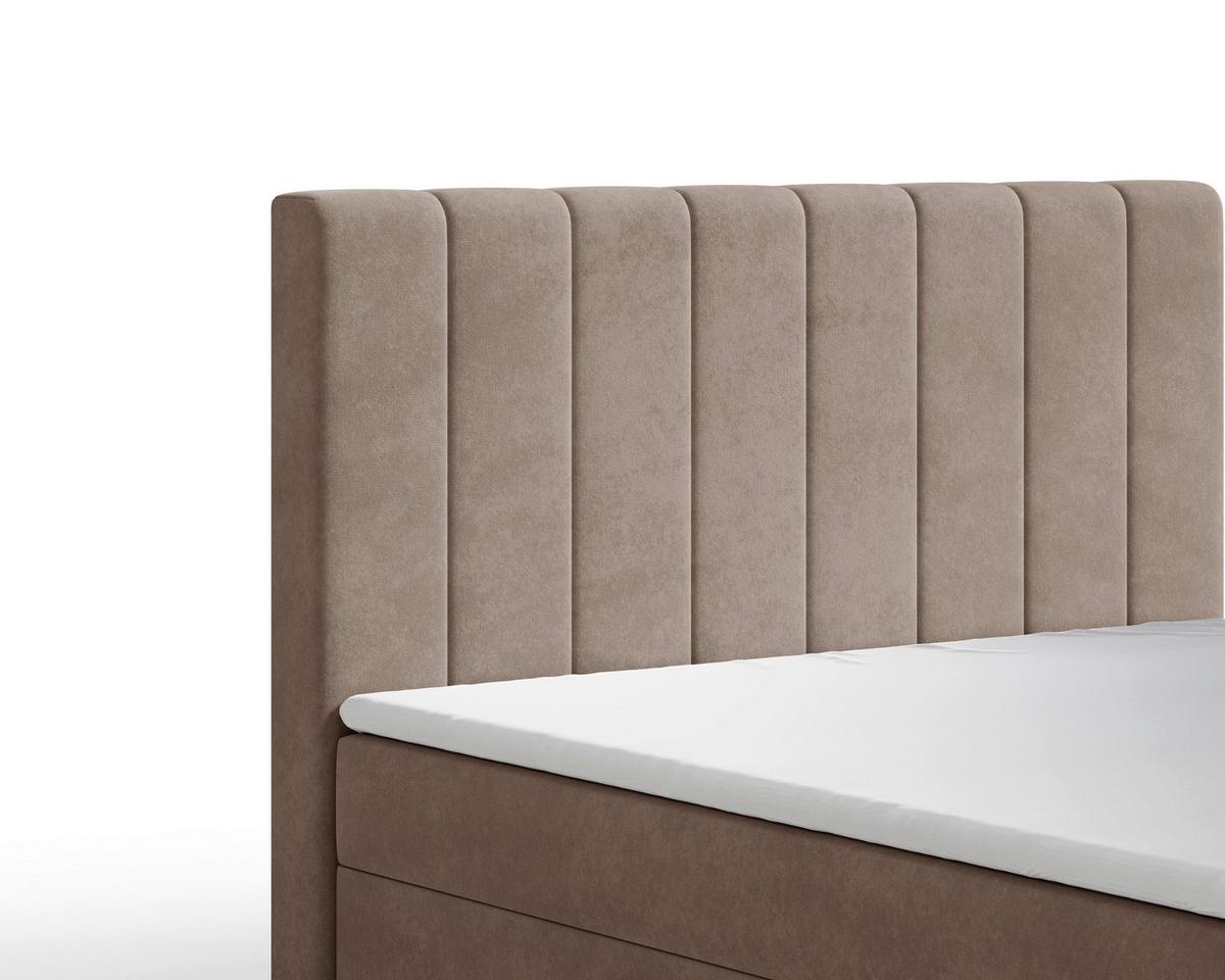 BOXBETT Lila Cappuccino 160x200cm - Schwarz/Cappuccino, MODERN, Holz/Kunststoff (160/200cm) - MID.YOU