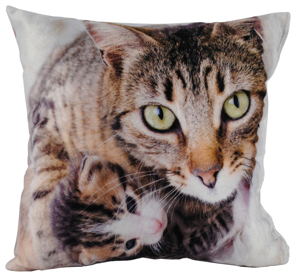 Zierkissen Xenia 25x25 Cm Samtoptik Tiermotive - Multicolor, KONVENTIONELL, Textil (25/25cm) - Ondega