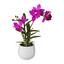 Rostlina Umělá Japonská Orchidej - pink/zelená, Basics, umělá hmota (40cm) Rostlina Umělá Japonská Orchidej - pink/zelená, Basics, umělá hmota (40cm)